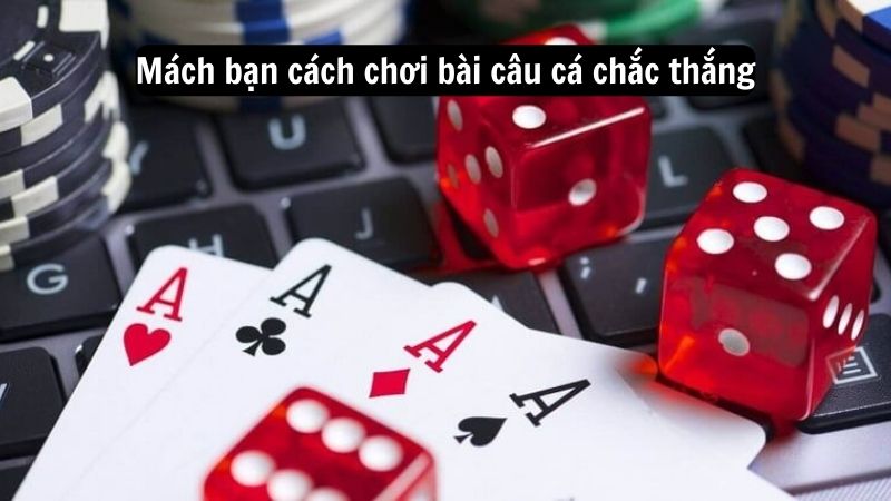 bai cau ca 3 Mách bạn cách chơi bài câu cá chắc thắng